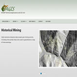  Image of TAGIS's Website